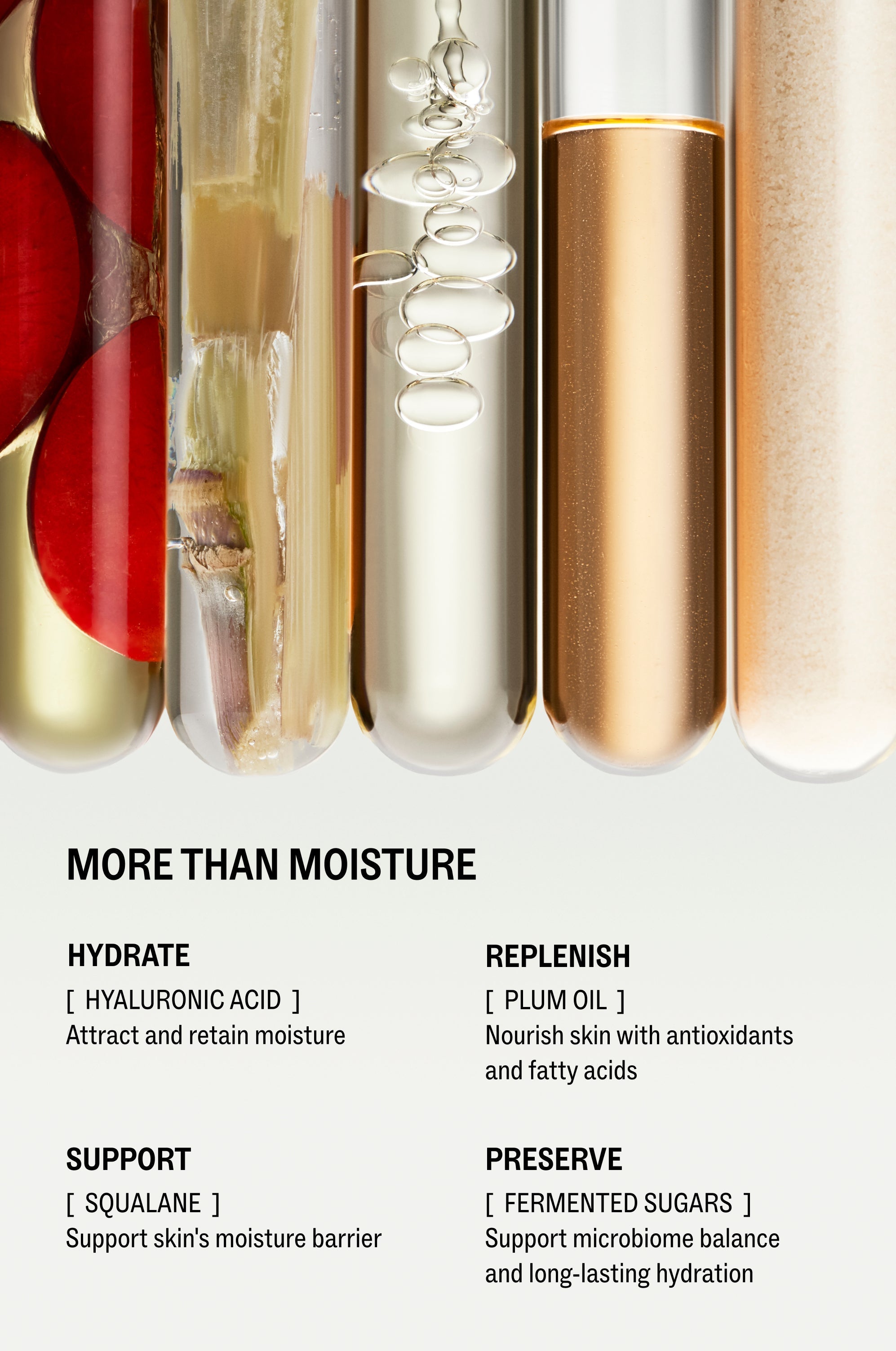 Hyaluronic Cushion Cream