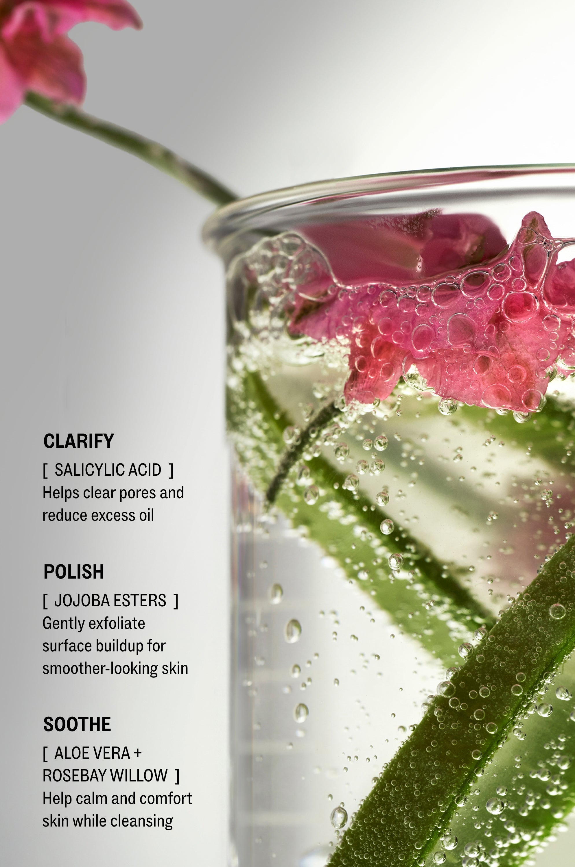 Clear Pore Cleanser
